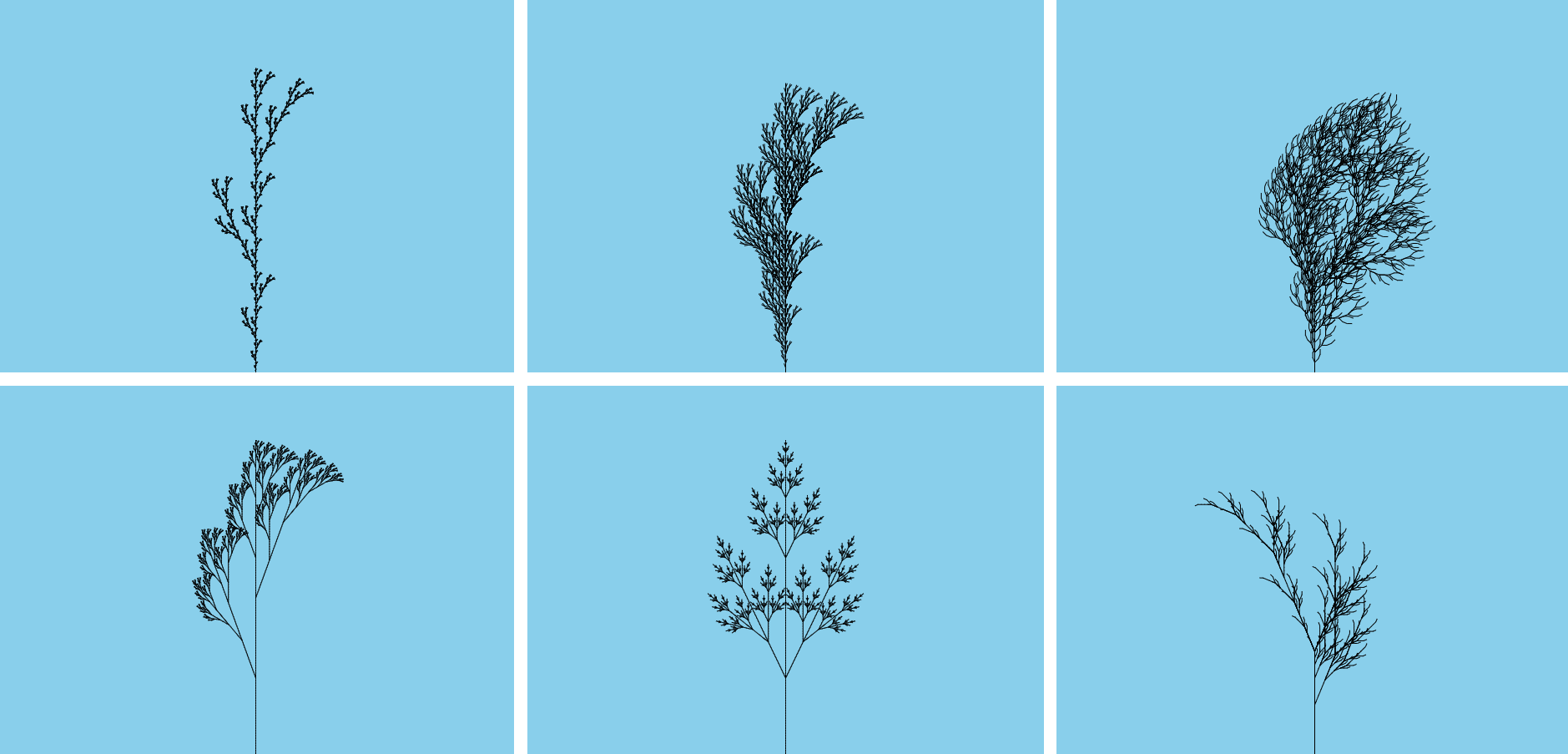 Algorithmic Botany